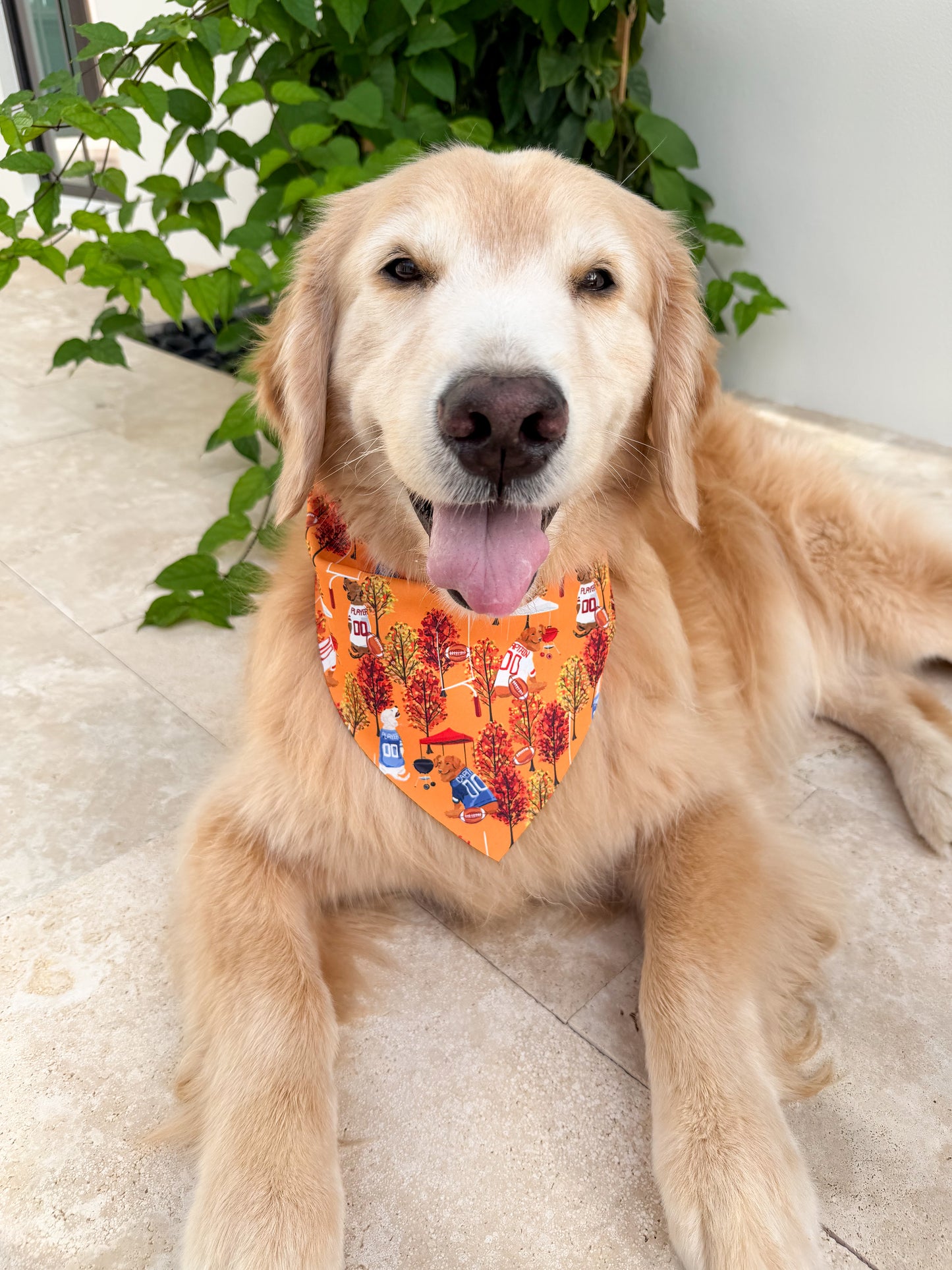 Fall Tailgate Bandana