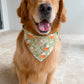 Chamomile and Honey Tea Bandana