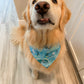 Scuba Pup Bandana