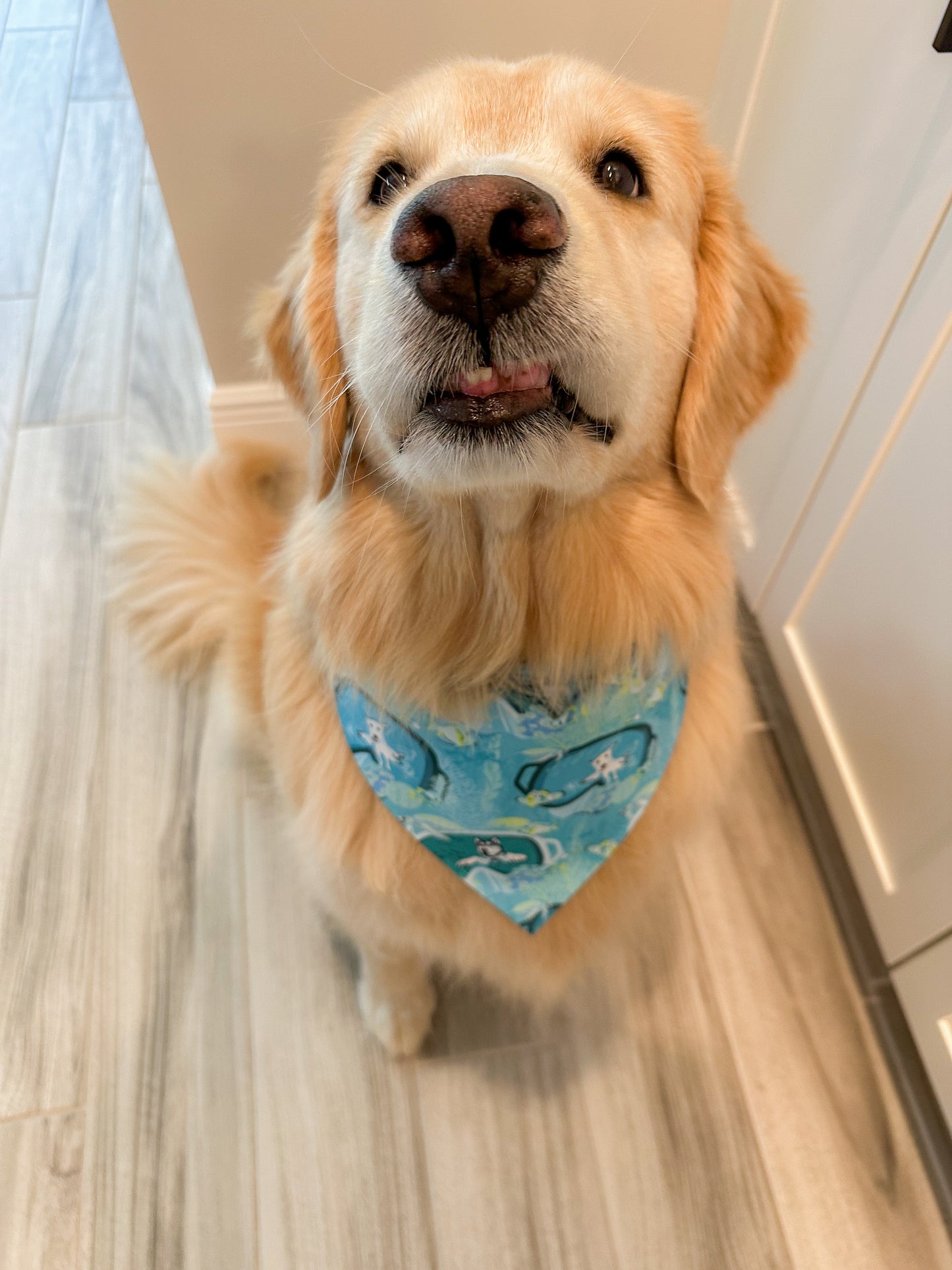 Scuba Pup Bandana