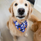 Wigged Out Ghosts and Gourds Bandana
