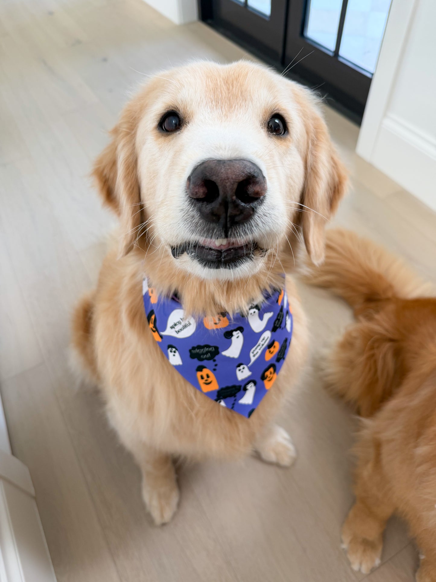 Wigged Out Ghosts and Gourds Bandana