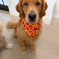 Houndstooth Fall / Halloween  Bandana