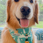 Harborview Goldens Bandana