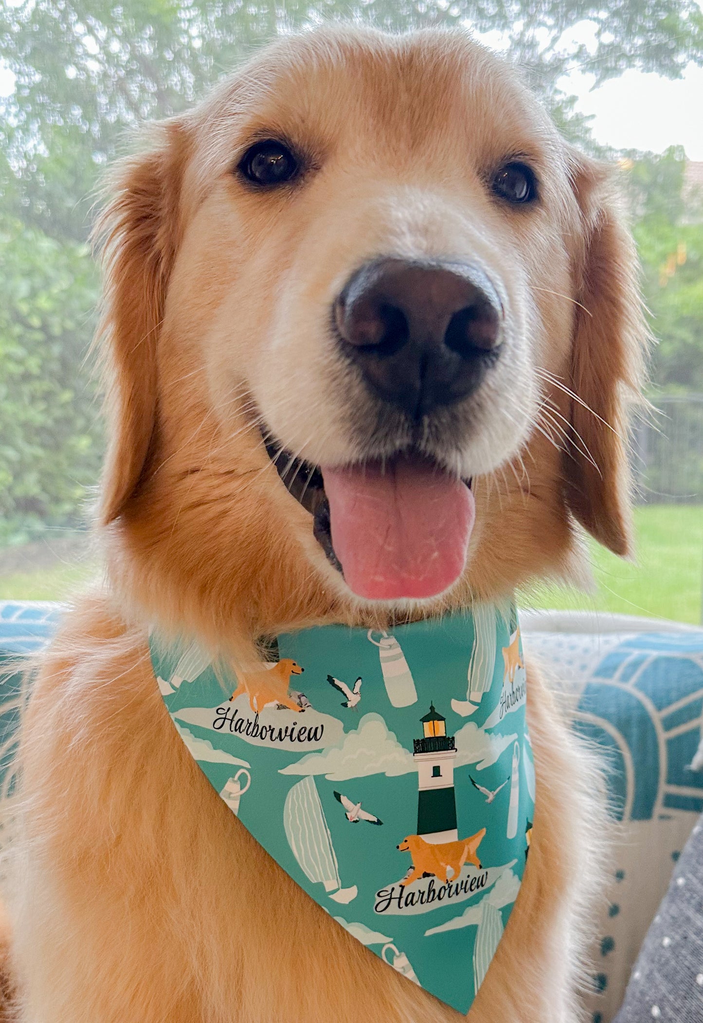 Harborview Goldens Bandana