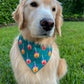 Candied Apples Bandana