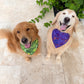 Wicked Wardrobe Bandana