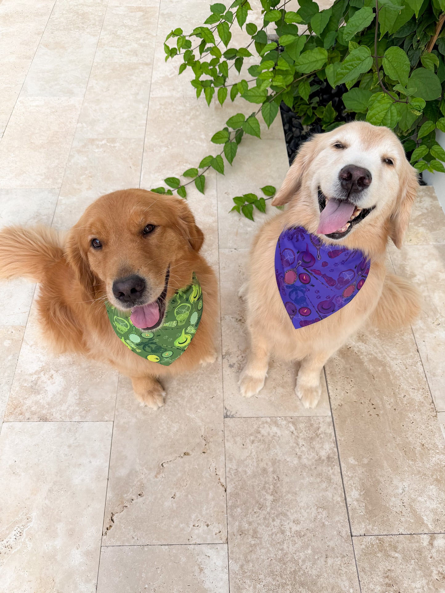 Wicked Wardrobe Bandana