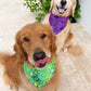 Wicked Wardrobe Bandana