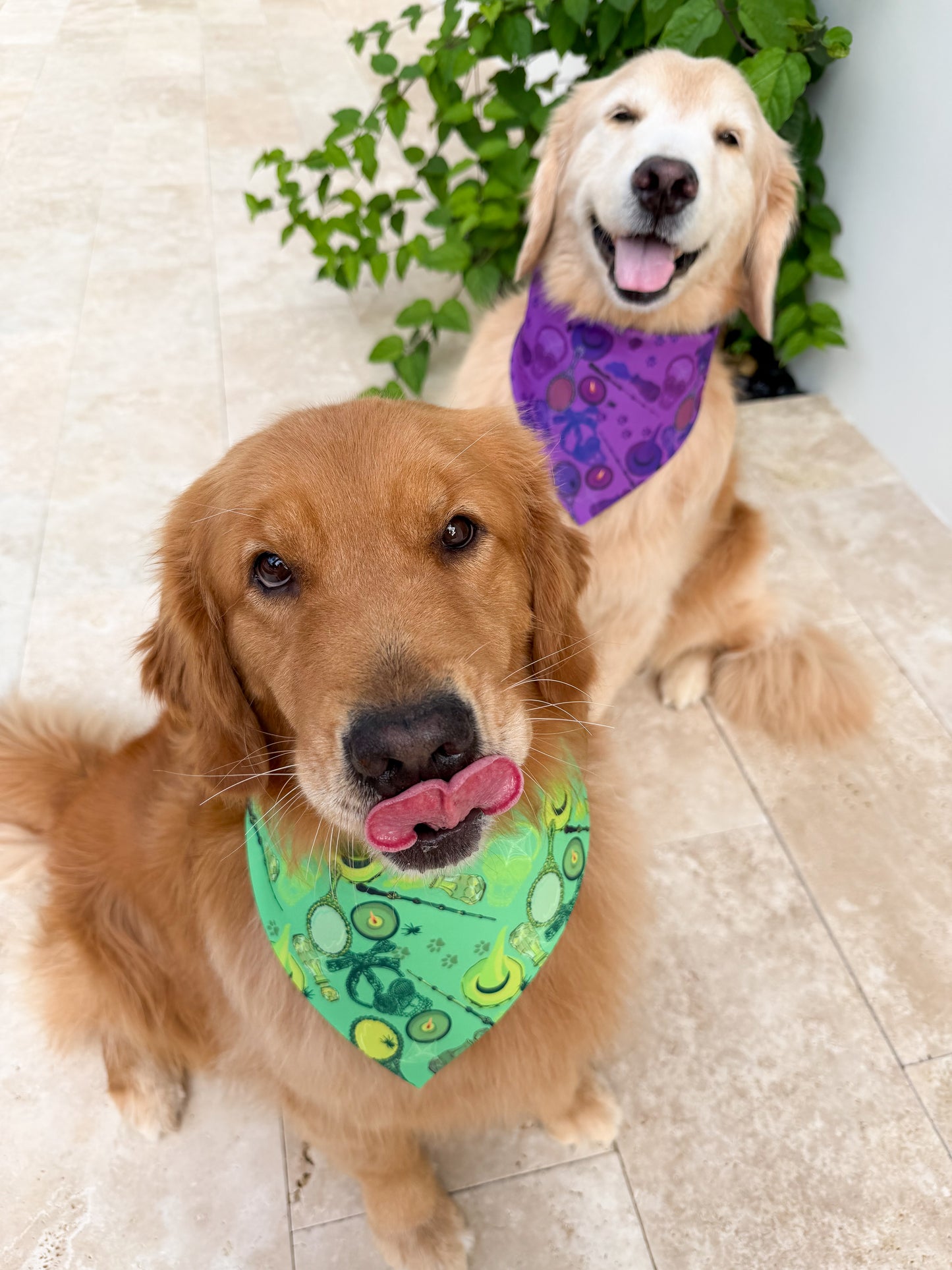 Wicked Wardrobe Bandana