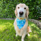 Scuba Pup Bandana