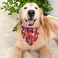 Fall Tailgate Bandana