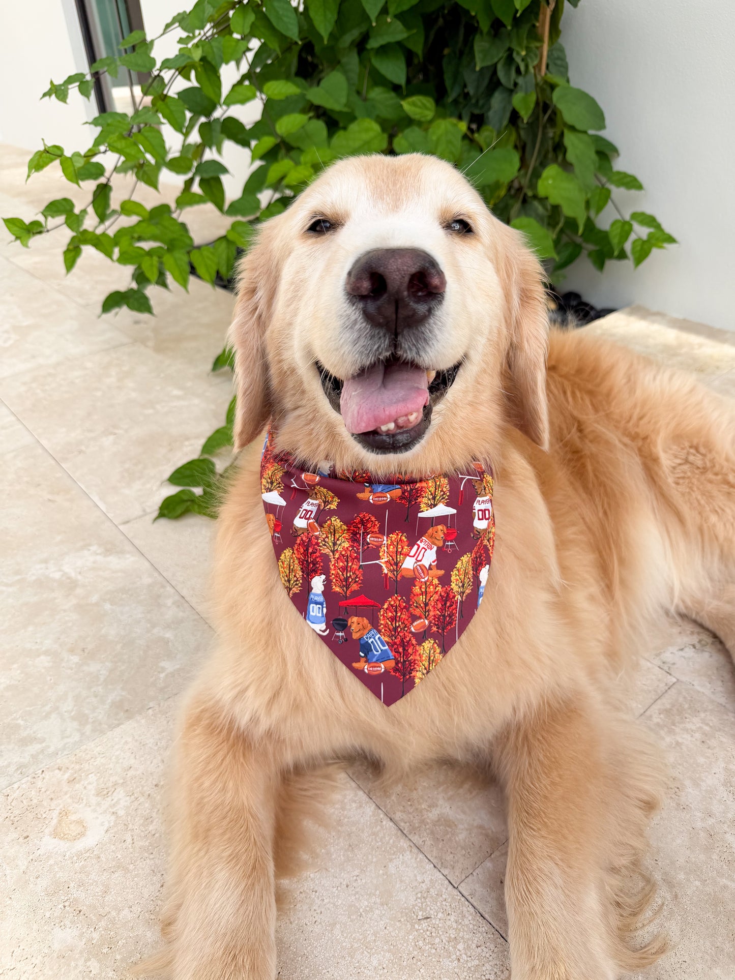 Fall Tailgate Bandana