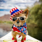 Jello Shots and Gingham Stars Bandana