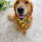 Marigolds Ric Rac Bandana