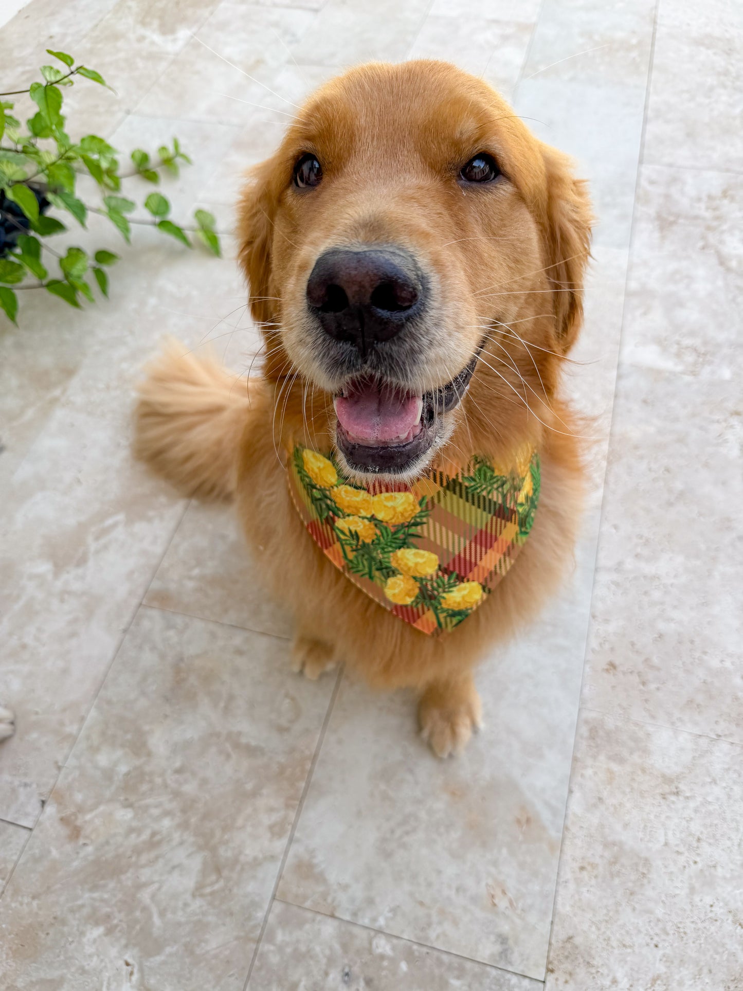 Marigolds Ric Rac Bandana