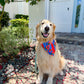 Firecracker Plants Bandana