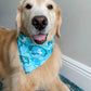 Scuba Pup Bandana