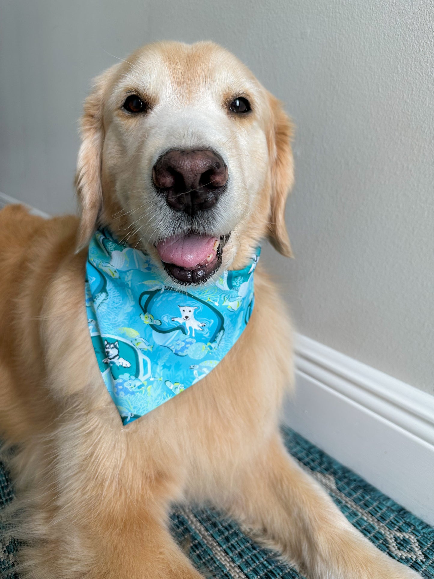 Scuba Pup Bandana