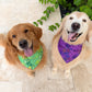 Wicked Wardrobe Bandana