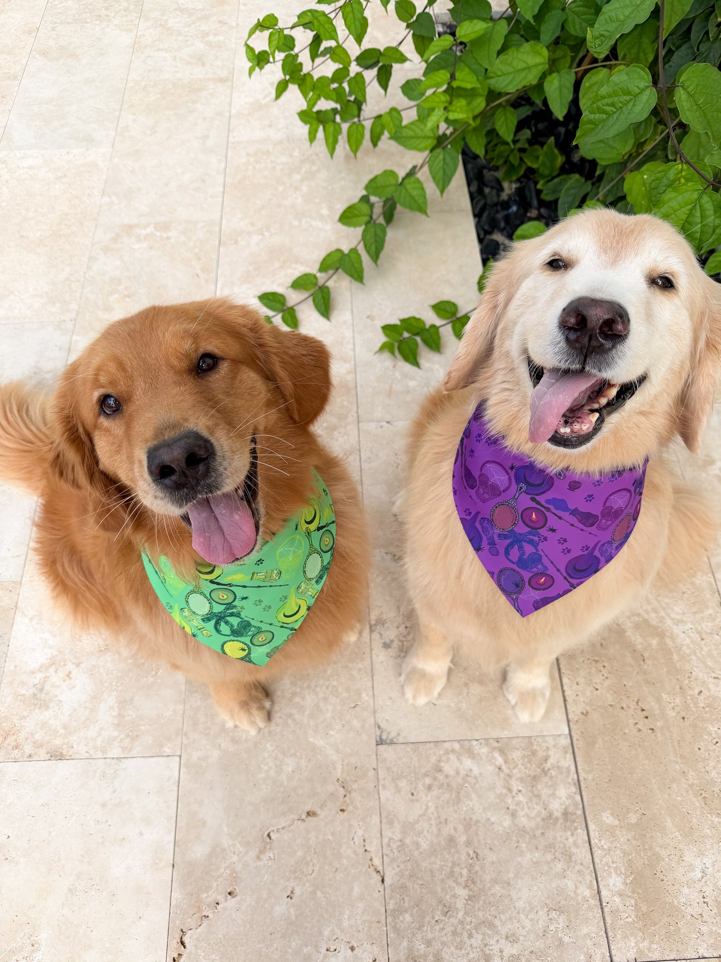 Wicked Wardrobe Bandana