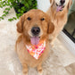 Ofrenda Florals Bandana