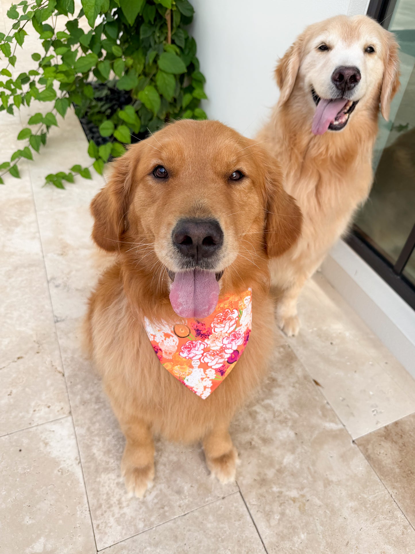 Ofrenda Florals Bandana