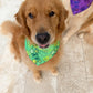 Wicked Wardrobe Bandana