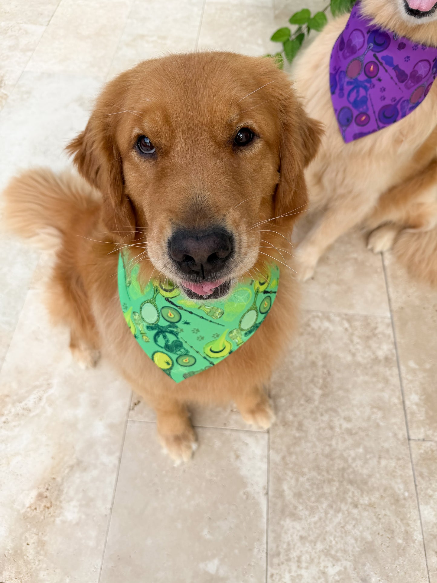 Wicked Wardrobe Bandana
