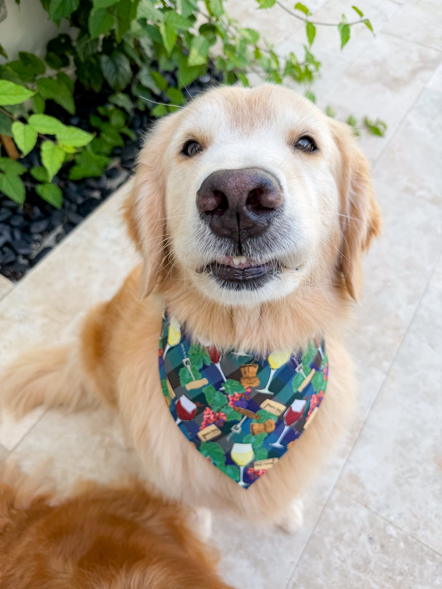 Wine Accoutrements Bandana
