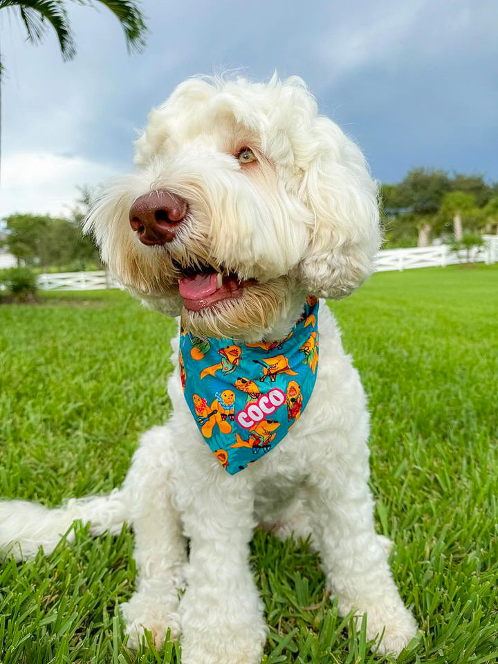 Landshark Luau Bandana