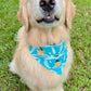 Harborview Goldens Bandana