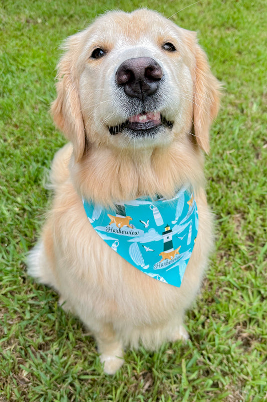 Harborview Goldens Bandana