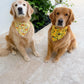 Chamomile and Honey Tea Bandana