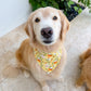 Chamomile and Honey Tea Bandana