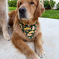Bobbing for Apple Bottoms Bandana