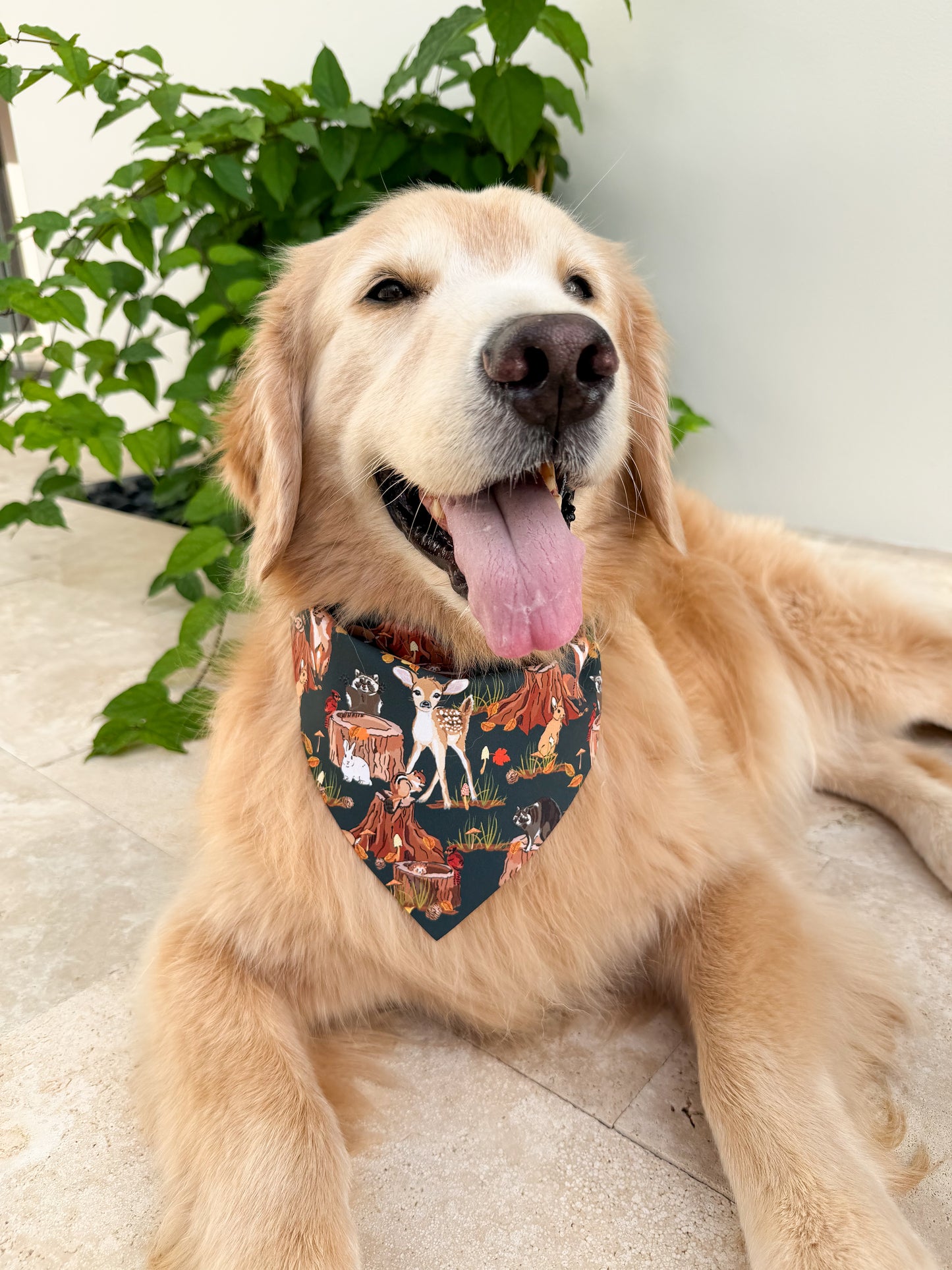 Fall in the Woods Bandana