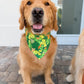 St Puppy's Frolic Bandana