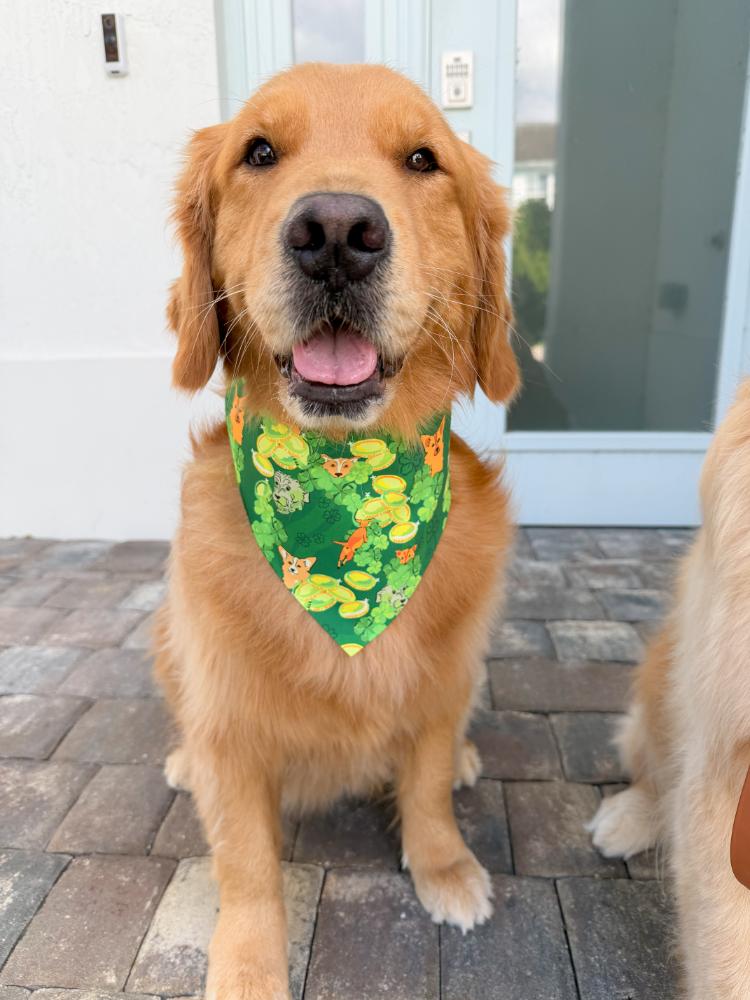 St Puppy's Frolic Bandana