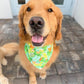 St Puppy's Frolic Bandana
