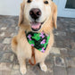 Clover Blooms Bandana
