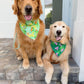 St Puppy's Frolic Bandana
