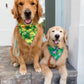 St Puppy's Frolic Bandana