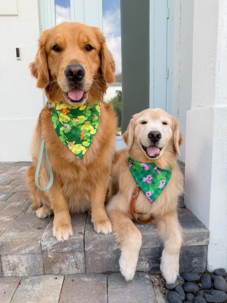 St Puppy's Frolic Bandana