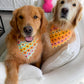 Sunflower Ombré Houndstooth Bandana