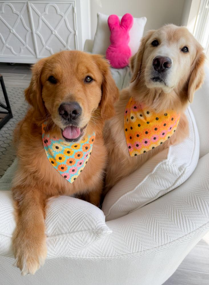 Sunflower Ombré Houndstooth Bandana