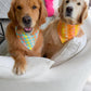 Sunflower Ombré Houndstooth Bandana