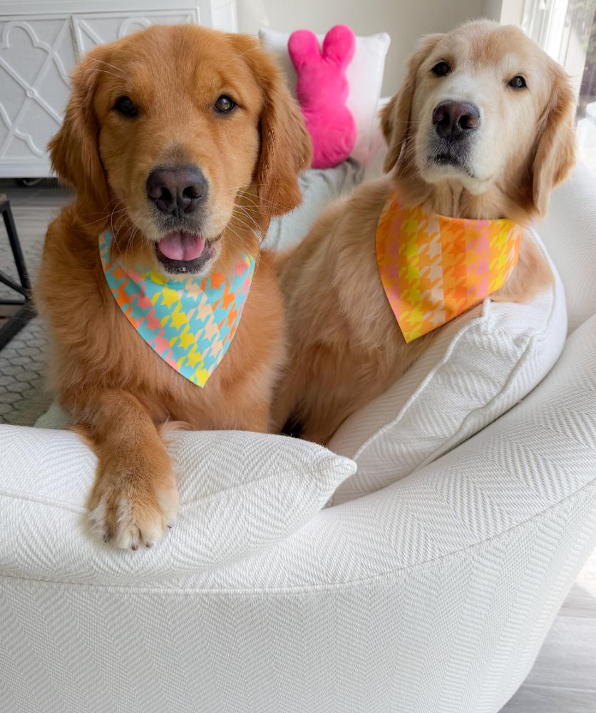 Sunflower Ombré Houndstooth Bandana