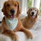 Wildflower Ducklings Bandana