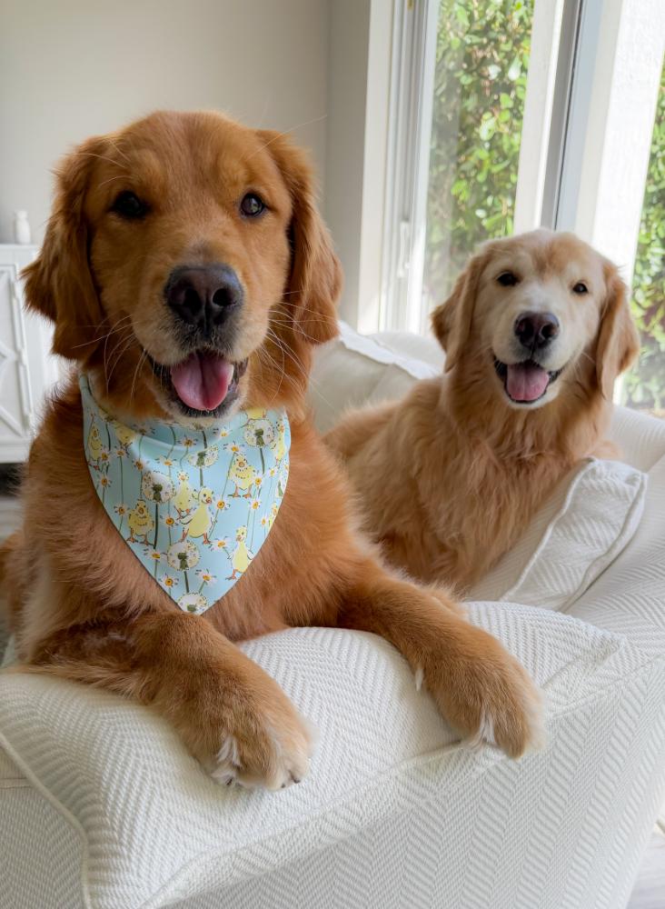 Wildflower Ducklings Bandana